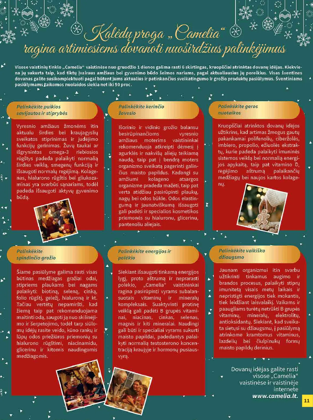 Camelia akcijų leidinys – 11 psl.