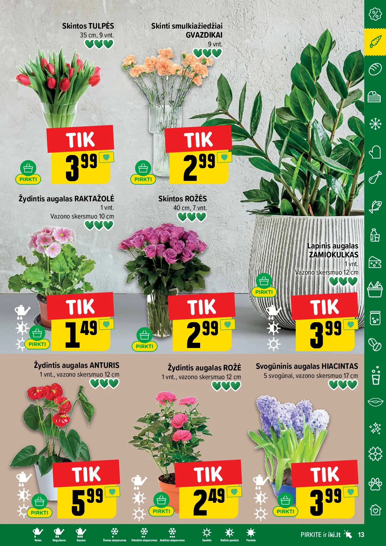 IKI akcijų leidinys Nr. 4 – 13 psl.