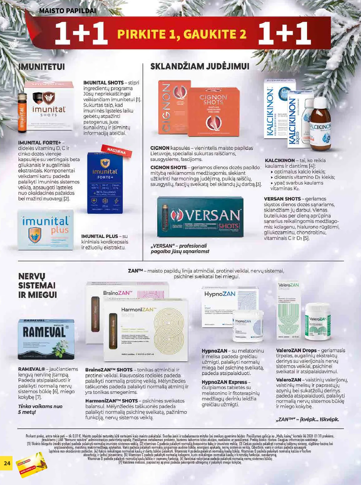 Camelia akcijų leidinys – 24 psl.