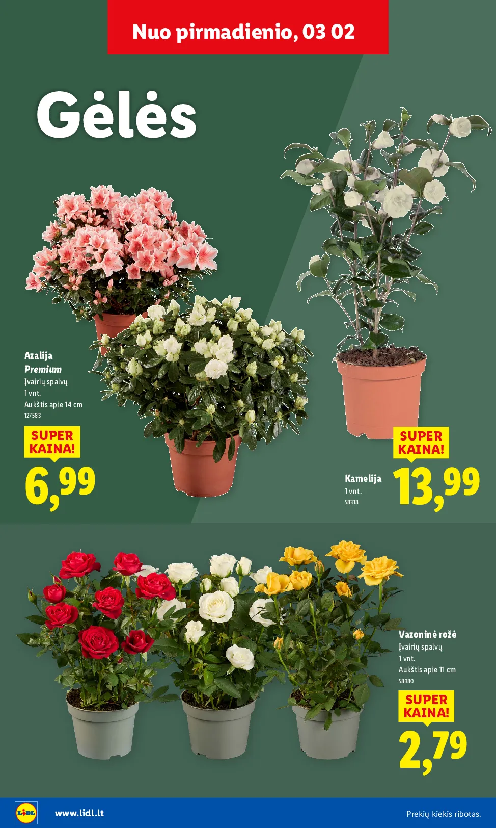 Lidl sodui valio – 24 psl.