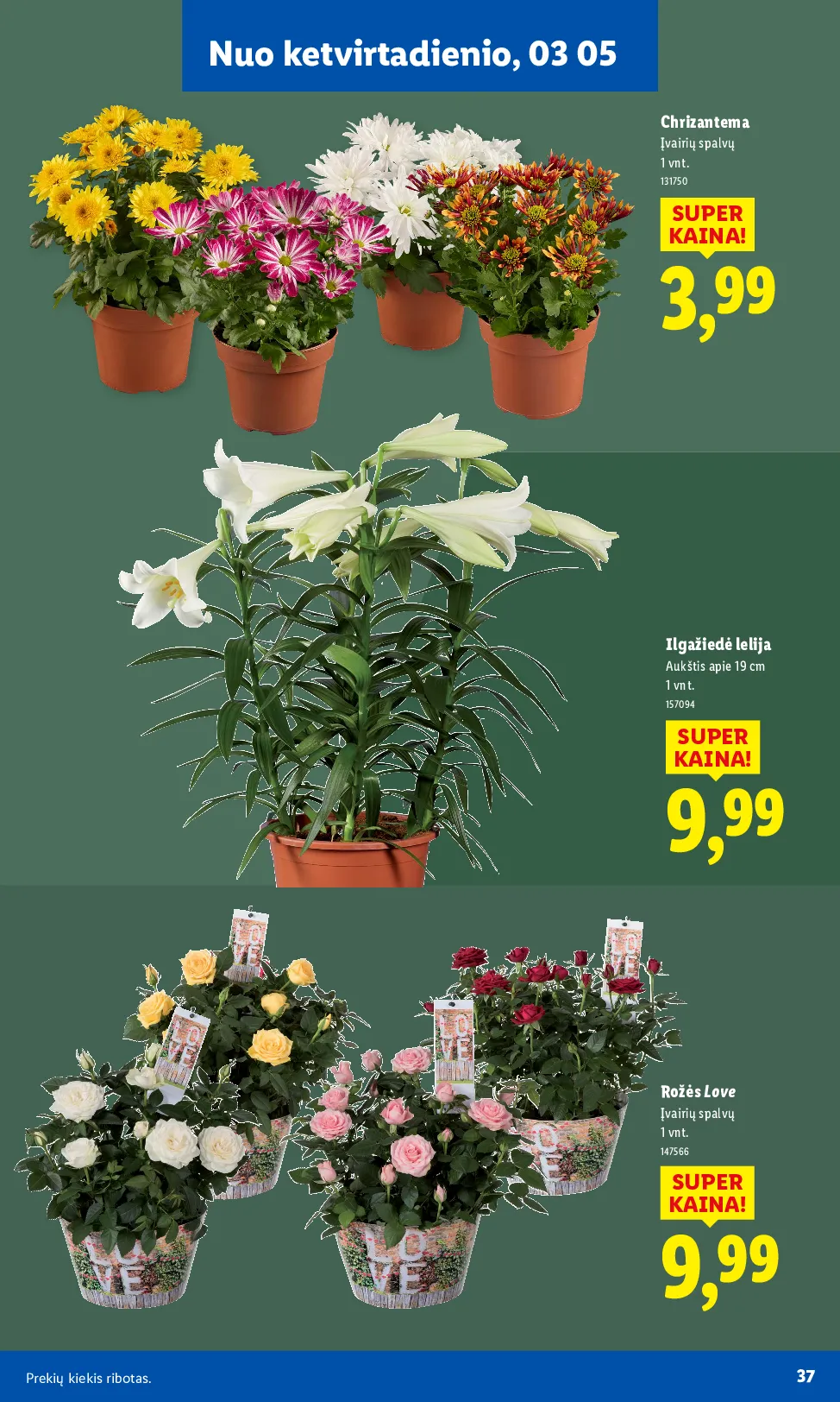 Lidl sodui valio – 25 psl.