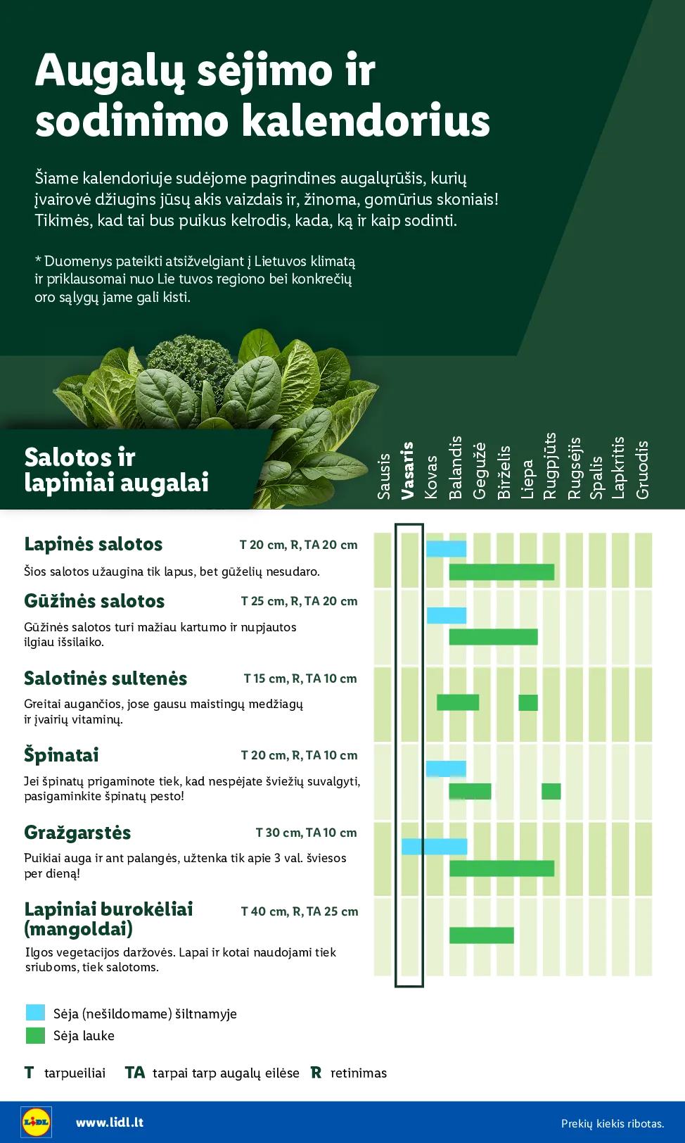 Lidl sodui valio – 4 psl.