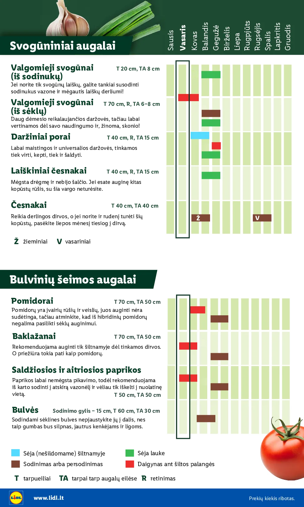 Lidl sodui valio – 6 psl.