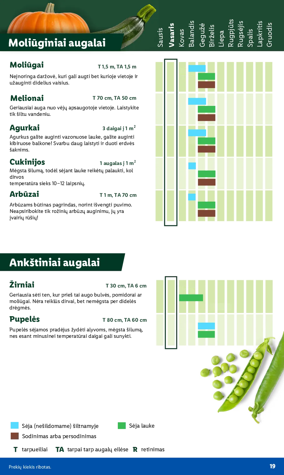 Lidl sodui valio – 7 psl.