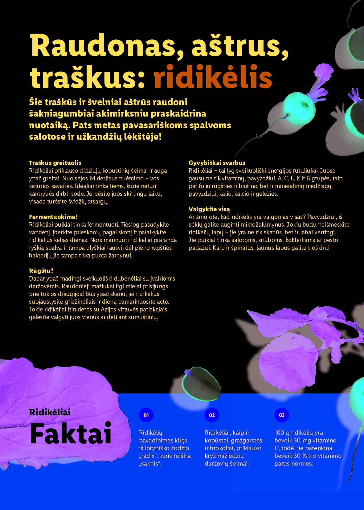 Lidl Velykinis prekių katalogas – 36 psl.