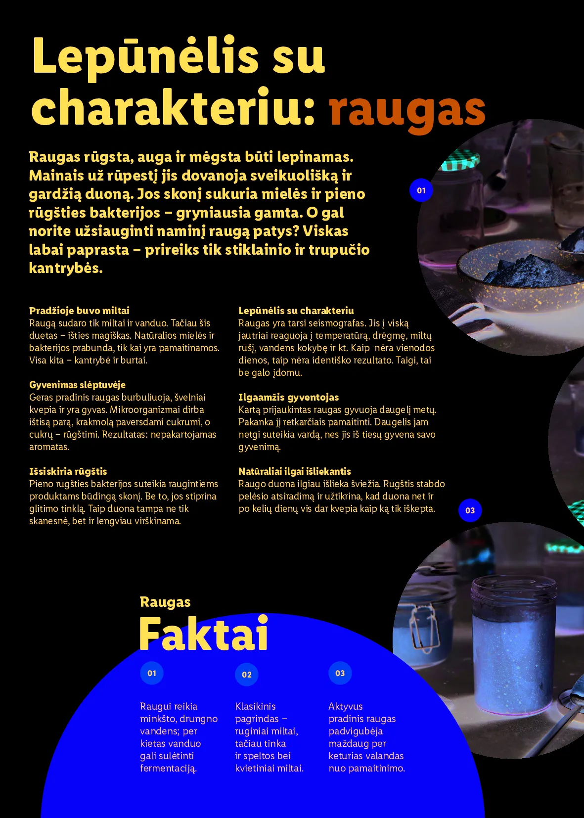 Lidl Velykinis prekių katalogas – 38 psl.