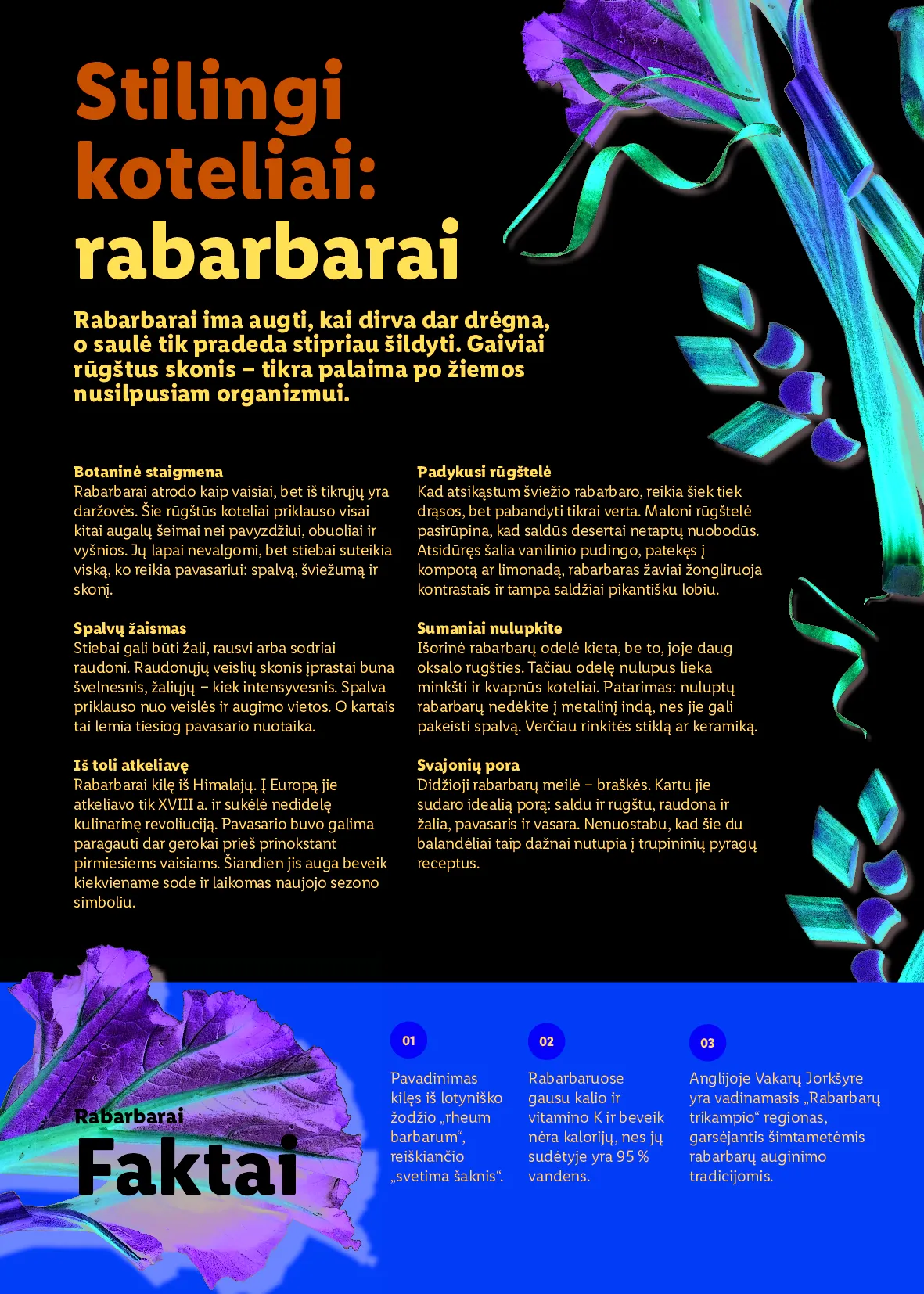 Lidl Velykinis prekių katalogas – 66 psl.