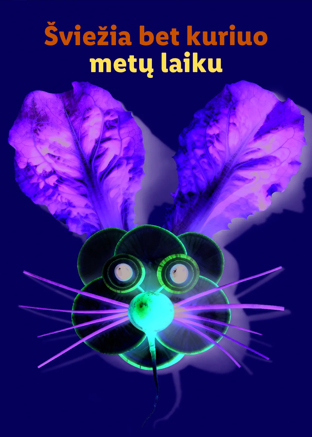 Lidl Velykinis prekių katalogas – 67 psl.