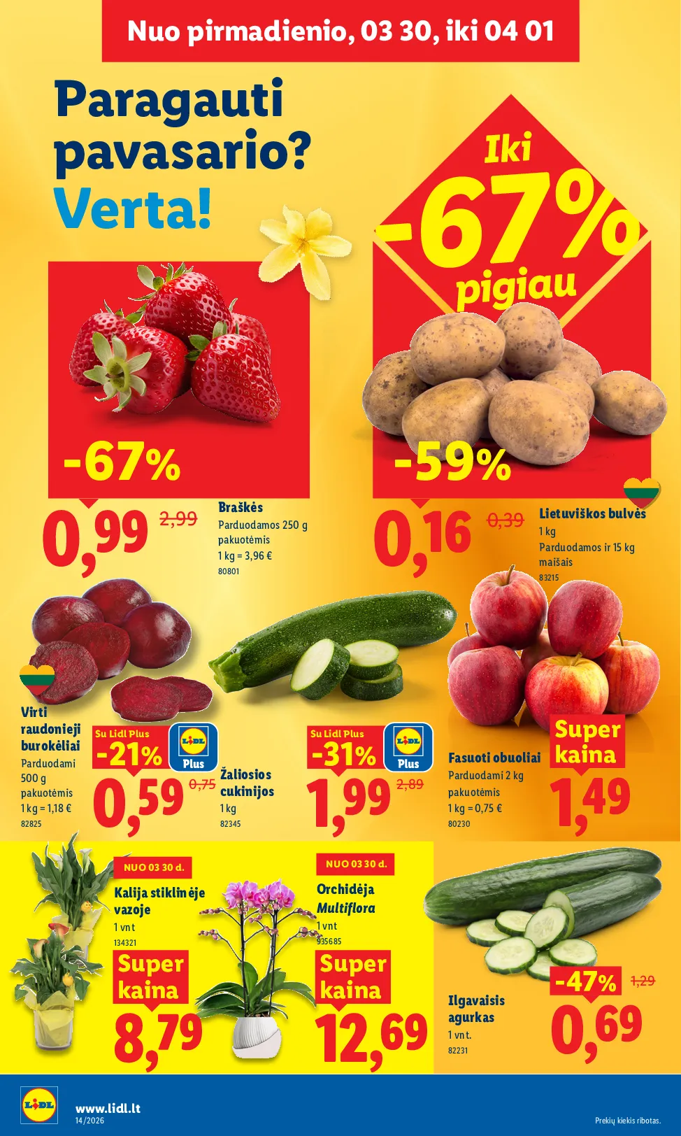 Lidl naujas leidinys – 4 psl.
