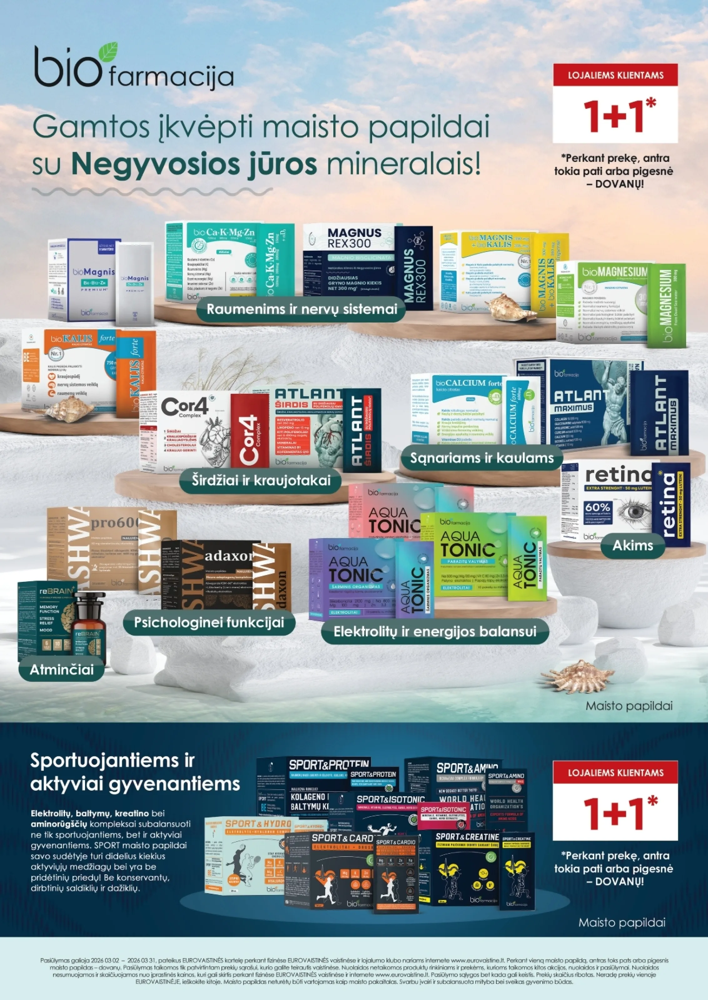 Eurovaistinė leidinys – 17 psl.