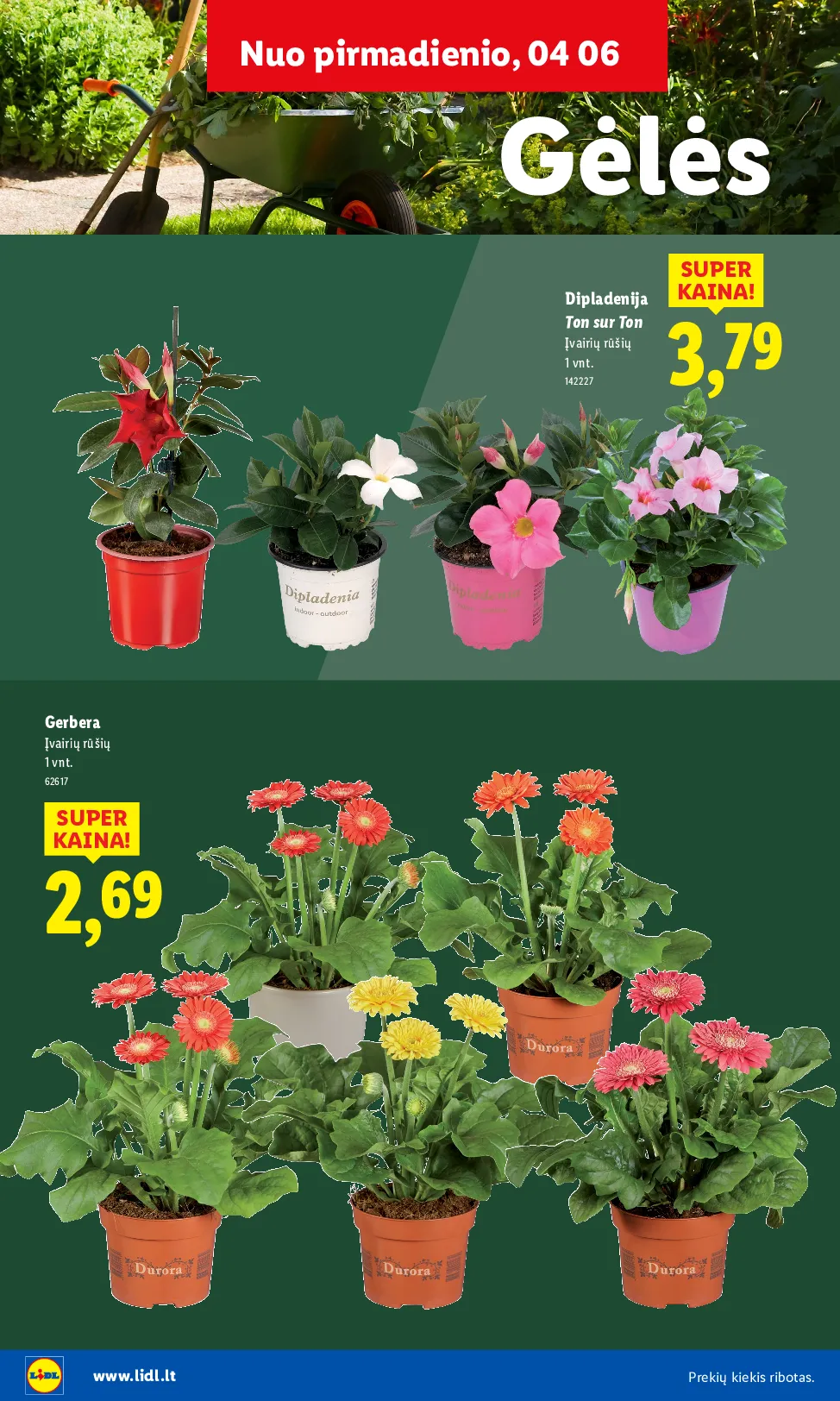 Lidl akcijos šią savaitę. Galioja nuo 2026-03-30 iki 2026-04-19 – 14 psl.