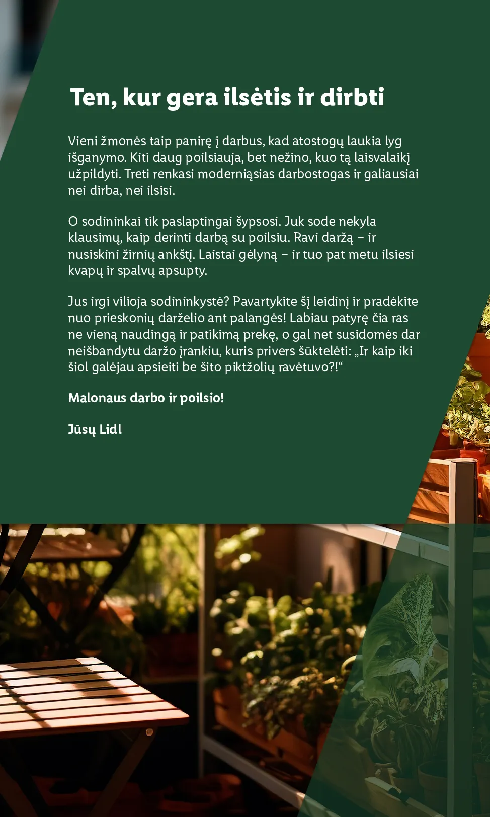 Lidl akcijos šią savaitę. Galioja nuo 2026-03-30 iki 2026-04-19 – 2 psl.