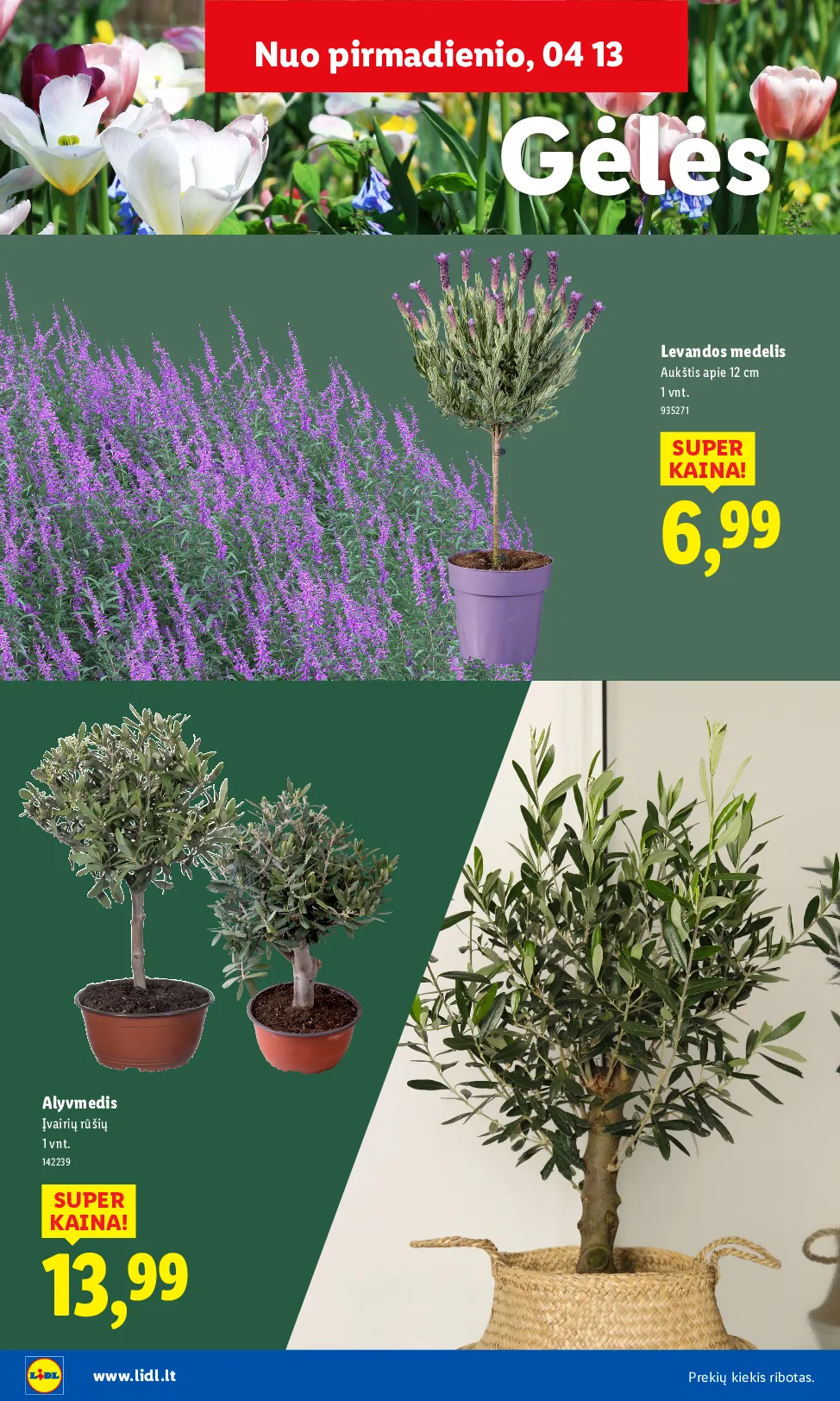 Lidl akcijos šią savaitę. Galioja nuo 2026-03-30 iki 2026-04-19 – 22 psl.