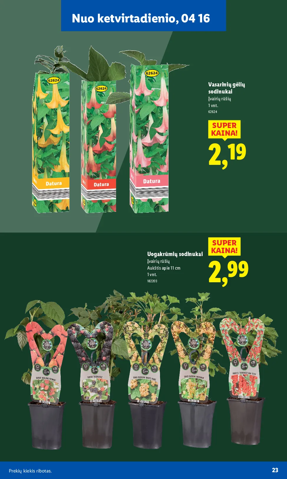 Lidl akcijos šią savaitę. Galioja nuo 2026-03-30 iki 2026-04-19 – 23 psl.