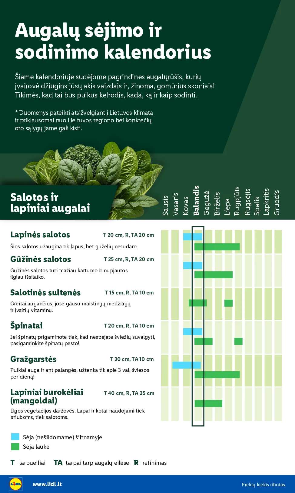 Lidl akcijos šią savaitę. Galioja nuo 2026-03-30 iki 2026-04-19 – 4 psl.