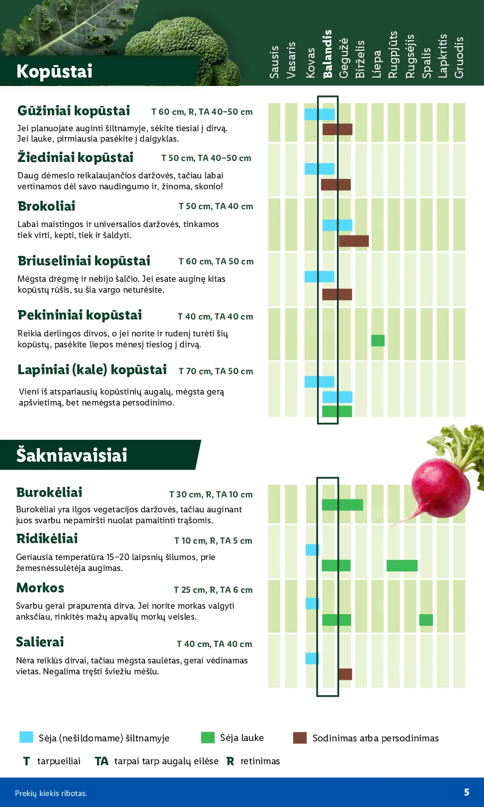 Lidl akcijos šią savaitę. Galioja nuo 2026-03-30 iki 2026-04-19 – 5 psl.