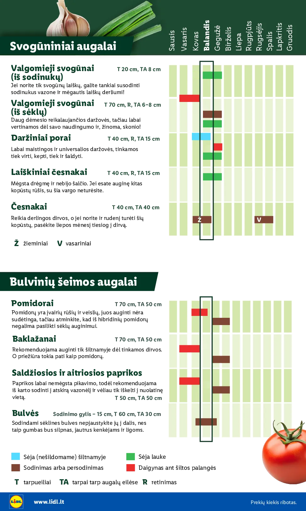 Lidl akcijos šią savaitę. Galioja nuo 2026-03-30 iki 2026-04-19 – 6 psl.