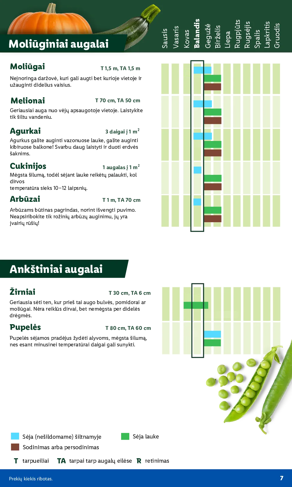 Lidl akcijos šią savaitę. Galioja nuo 2026-03-30 iki 2026-04-19 – 7 psl.