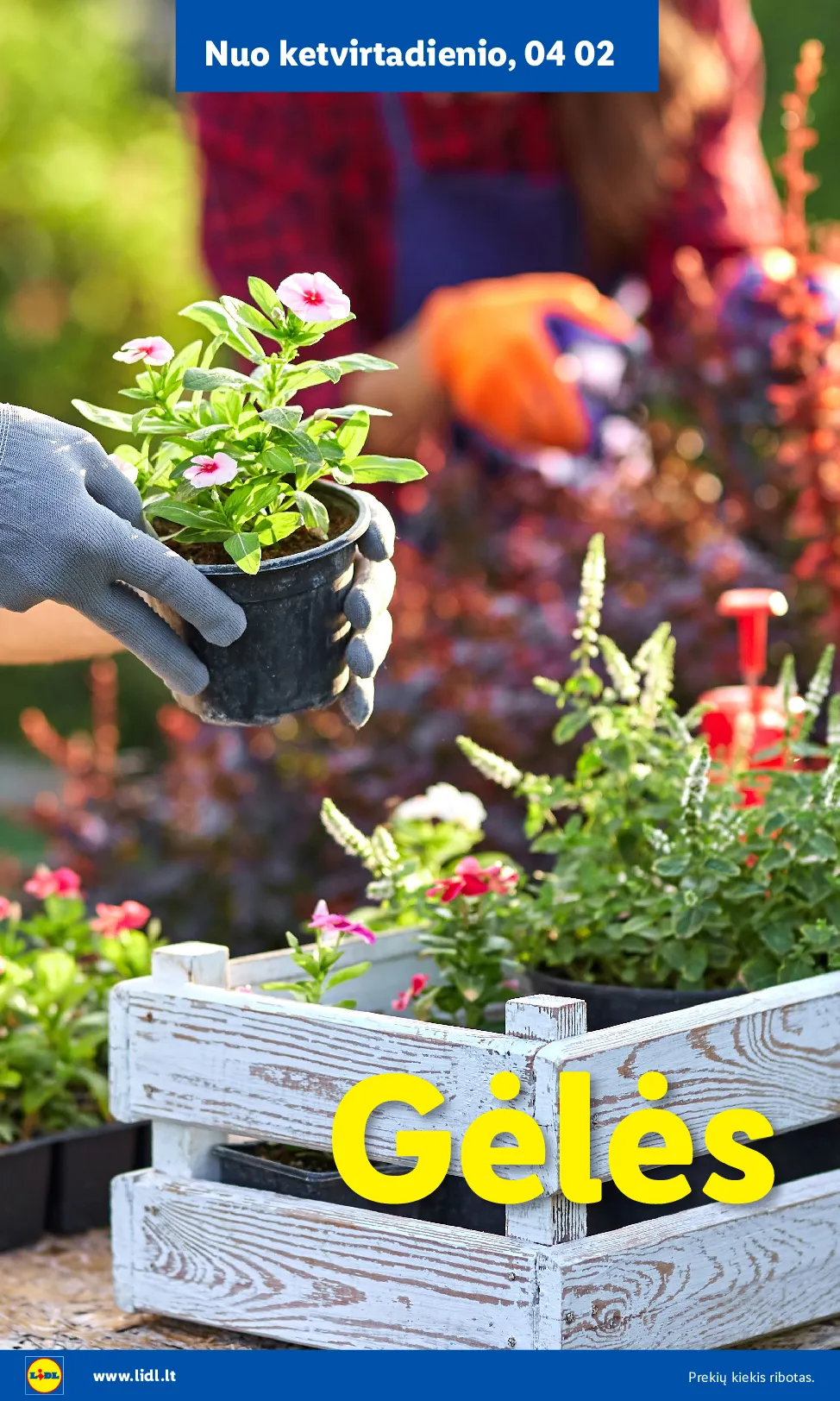 Lidl akcijos šią savaitę. Galioja nuo 2026-03-30 iki 2026-04-19 – 8 psl.