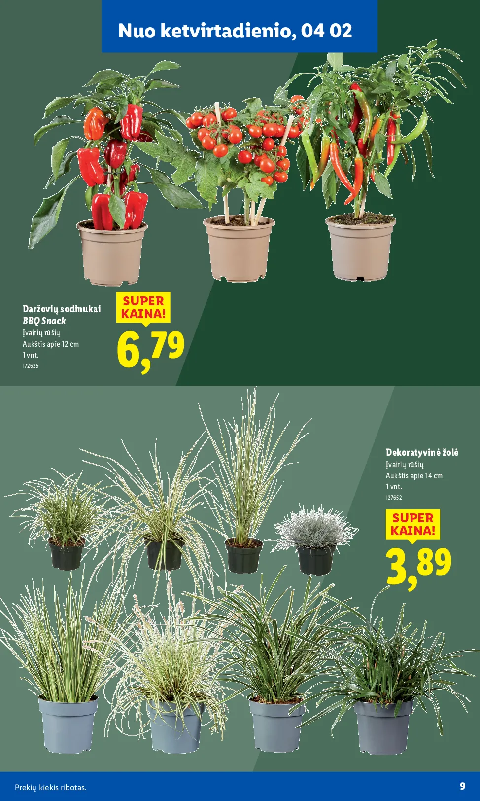 Lidl akcijos šią savaitę. Galioja nuo 2026-03-30 iki 2026-04-19 – 9 psl.