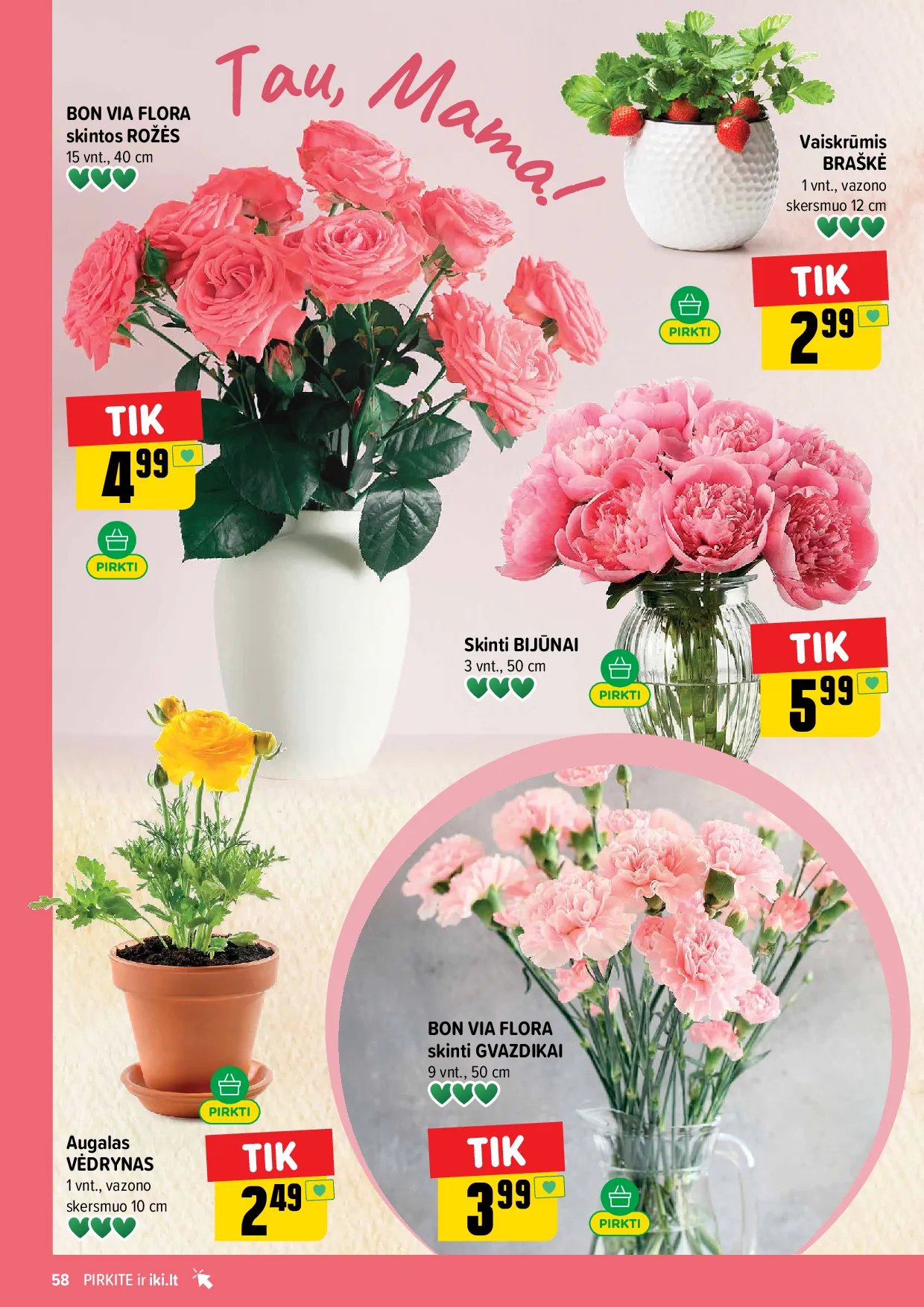 IKI akcijų leidinys – 58 psl.