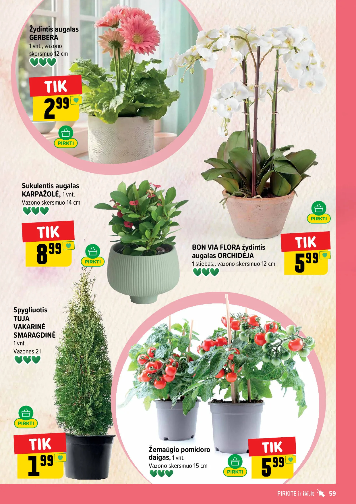 IKI akcijų leidinys – 59 psl.