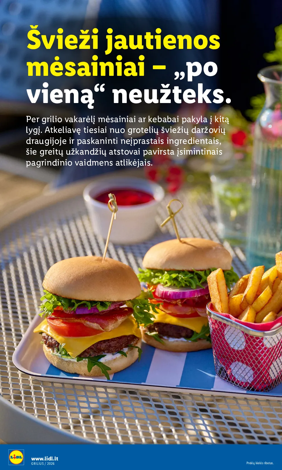 Lidl grilio katalogas – 12 psl.