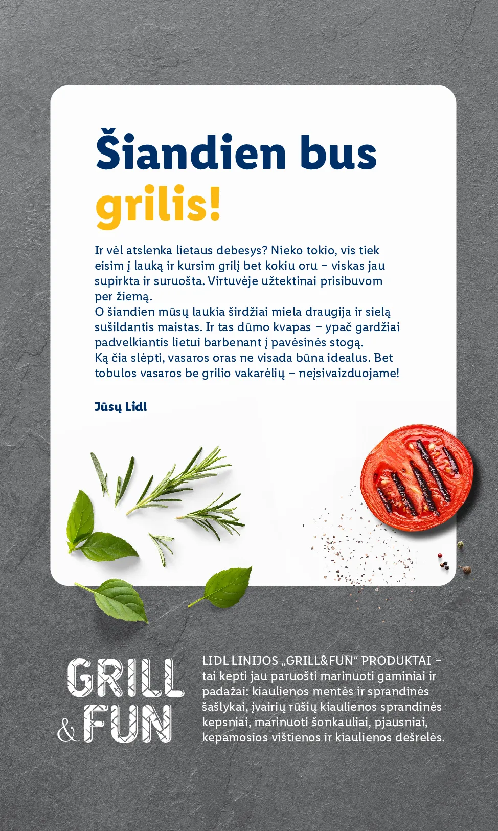 Lidl grilio katalogas – 2 psl.