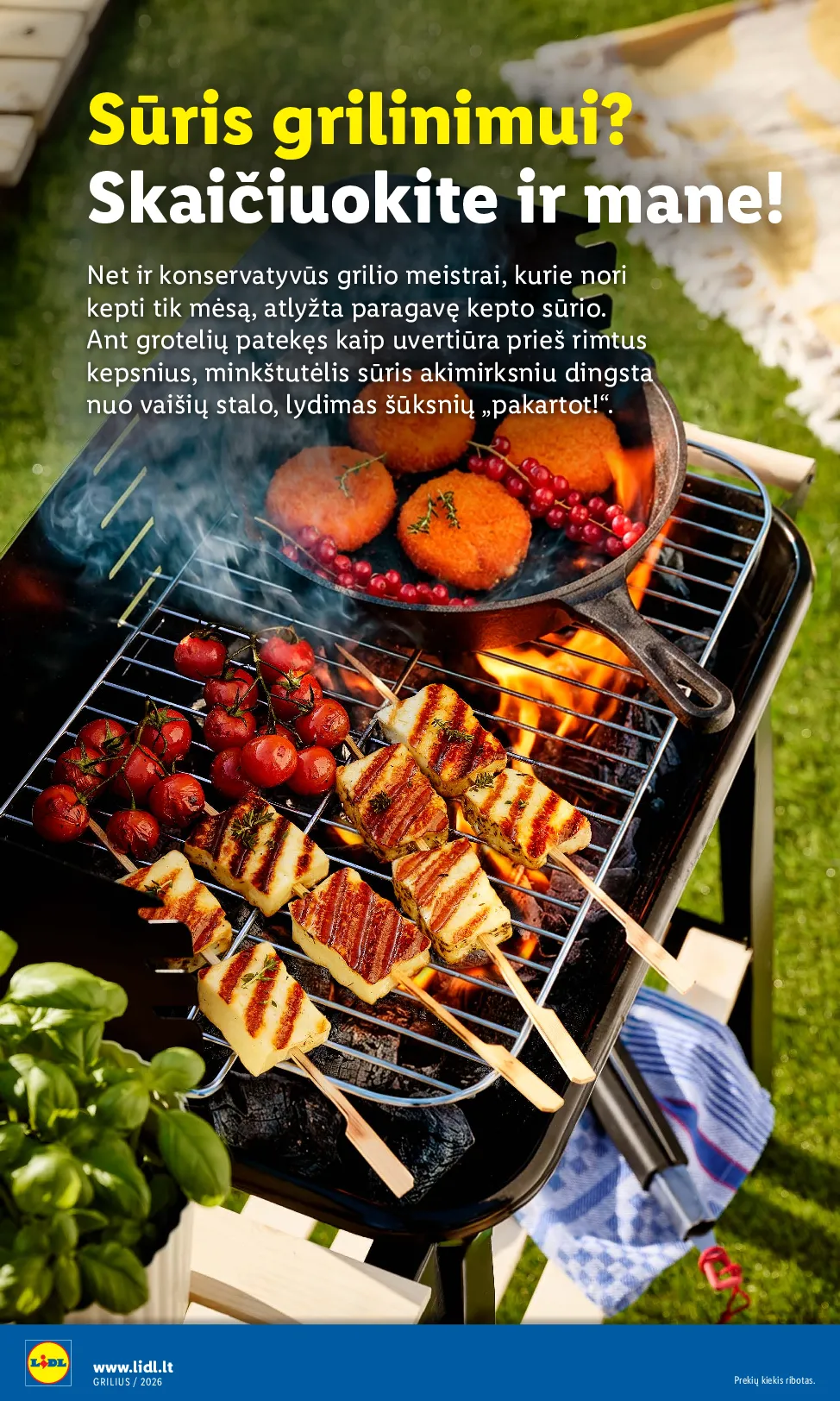 Lidl grilio katalogas – 22 psl.