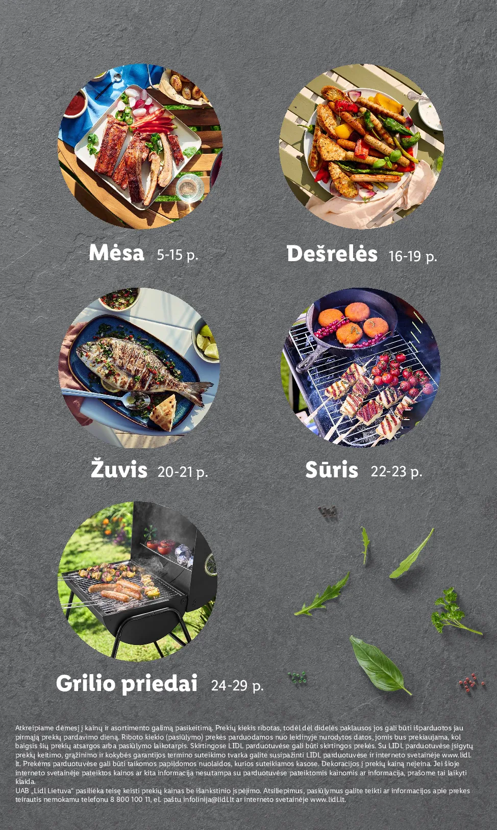 Lidl grilio katalogas – 3 psl.
