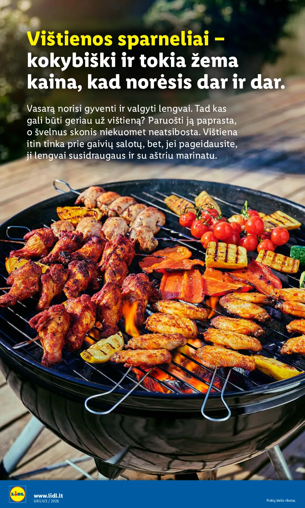 Lidl grilio katalogas – 4 psl.
