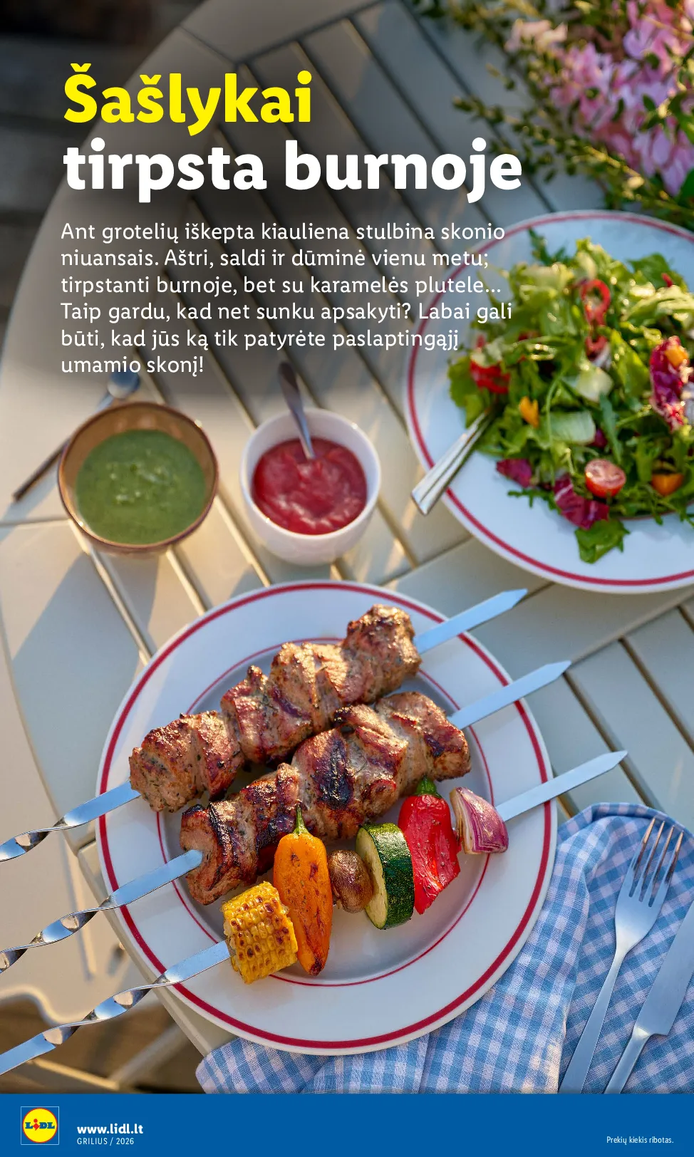 Lidl grilio katalogas – 8 psl.