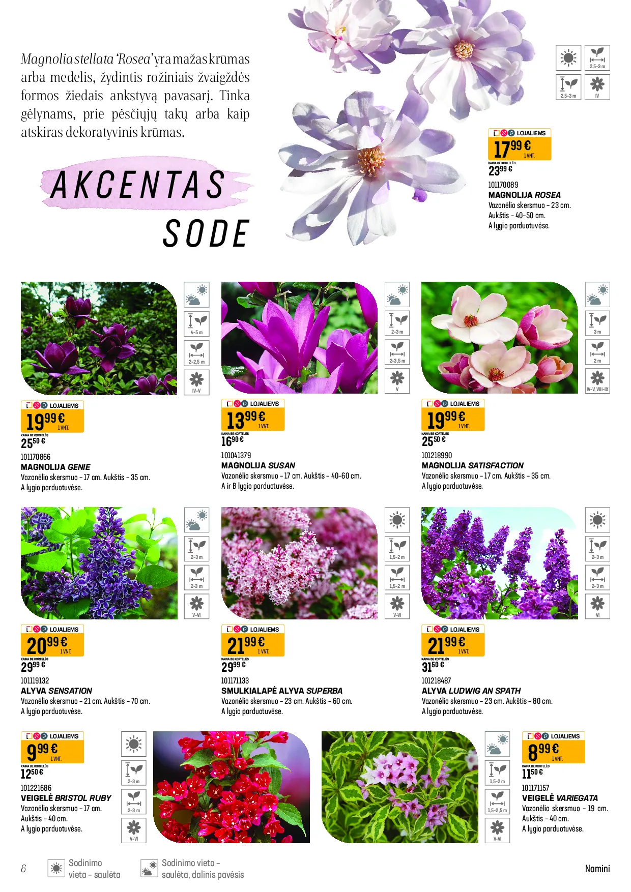 Senukai akcijos augalams – 6 psl.