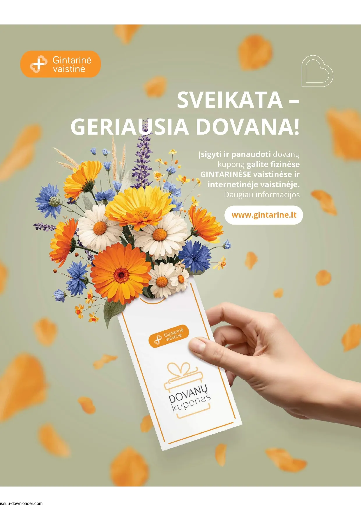 Gintarinės vaistinės leidinys – 16 psl.