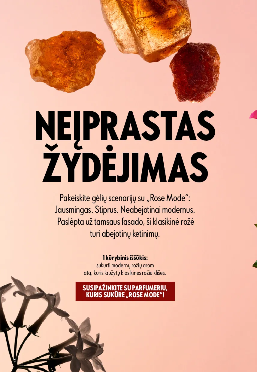 Oriflame katalogas – 6 psl.