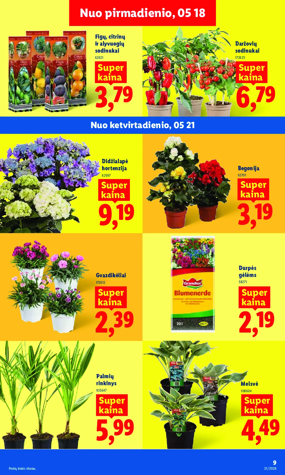 Lidl naujas leidinys – 11 psl.