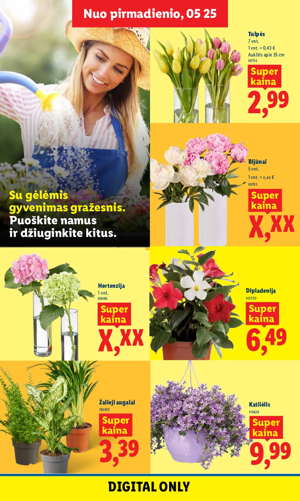 Lidl akcijos šią savaitę. Galioja nuo 2026-05-25 iki 2026-05-31 – 6 psl.