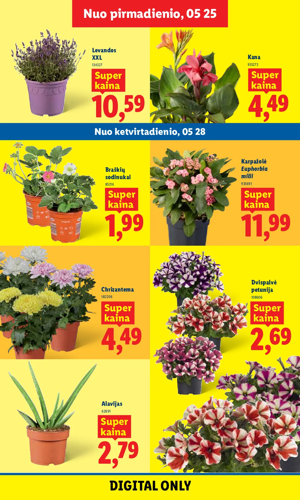 Lidl akcijos šią savaitę. Galioja nuo 2026-05-25 iki 2026-05-31 – 7 psl.