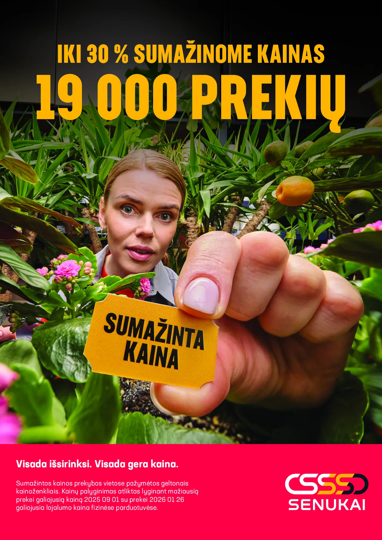 Senukai leidinys – 11 psl.