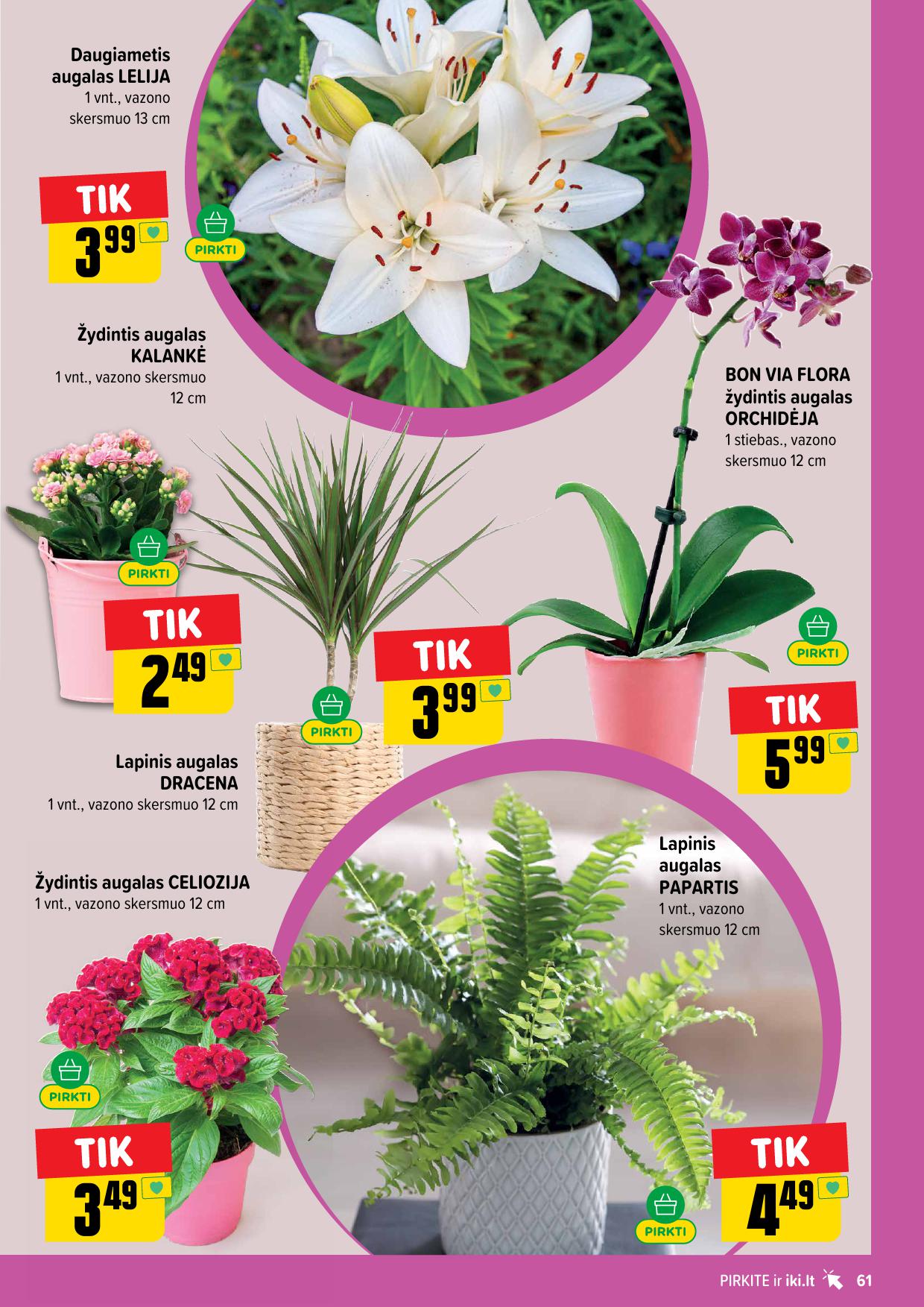 IKI akcijų leidinys – 6 psl.