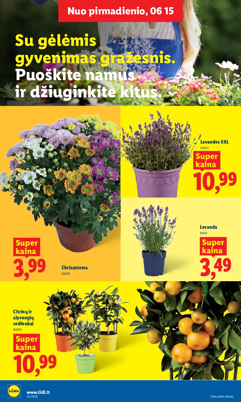 Lidl naujas leidinys – 8 psl.