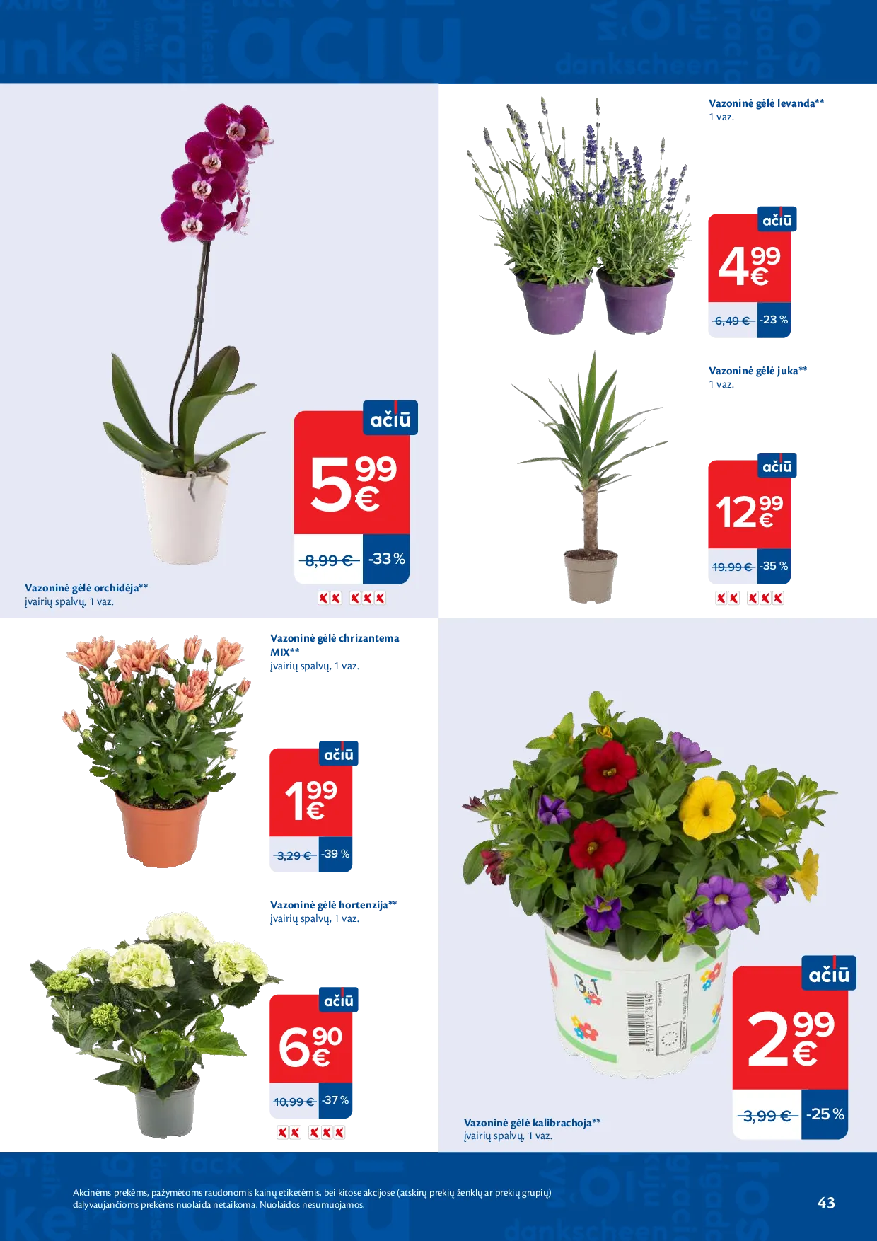 Maxima naujas leidinys – 43 psl.