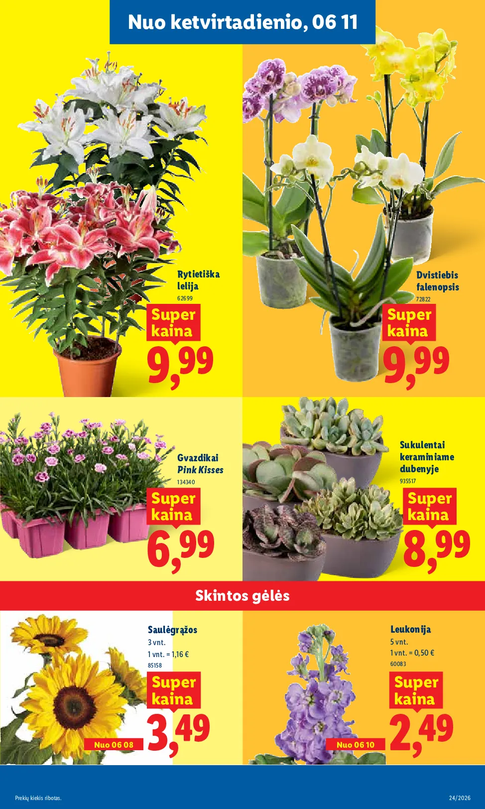Lidl maisto prekių leidinys – 9 psl.