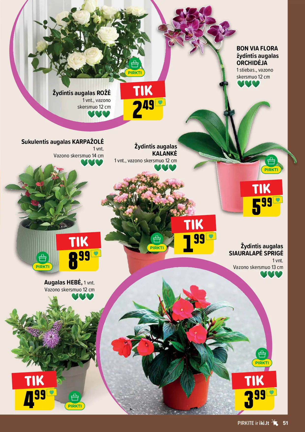 IKI akcijų leidinys – 51 psl.