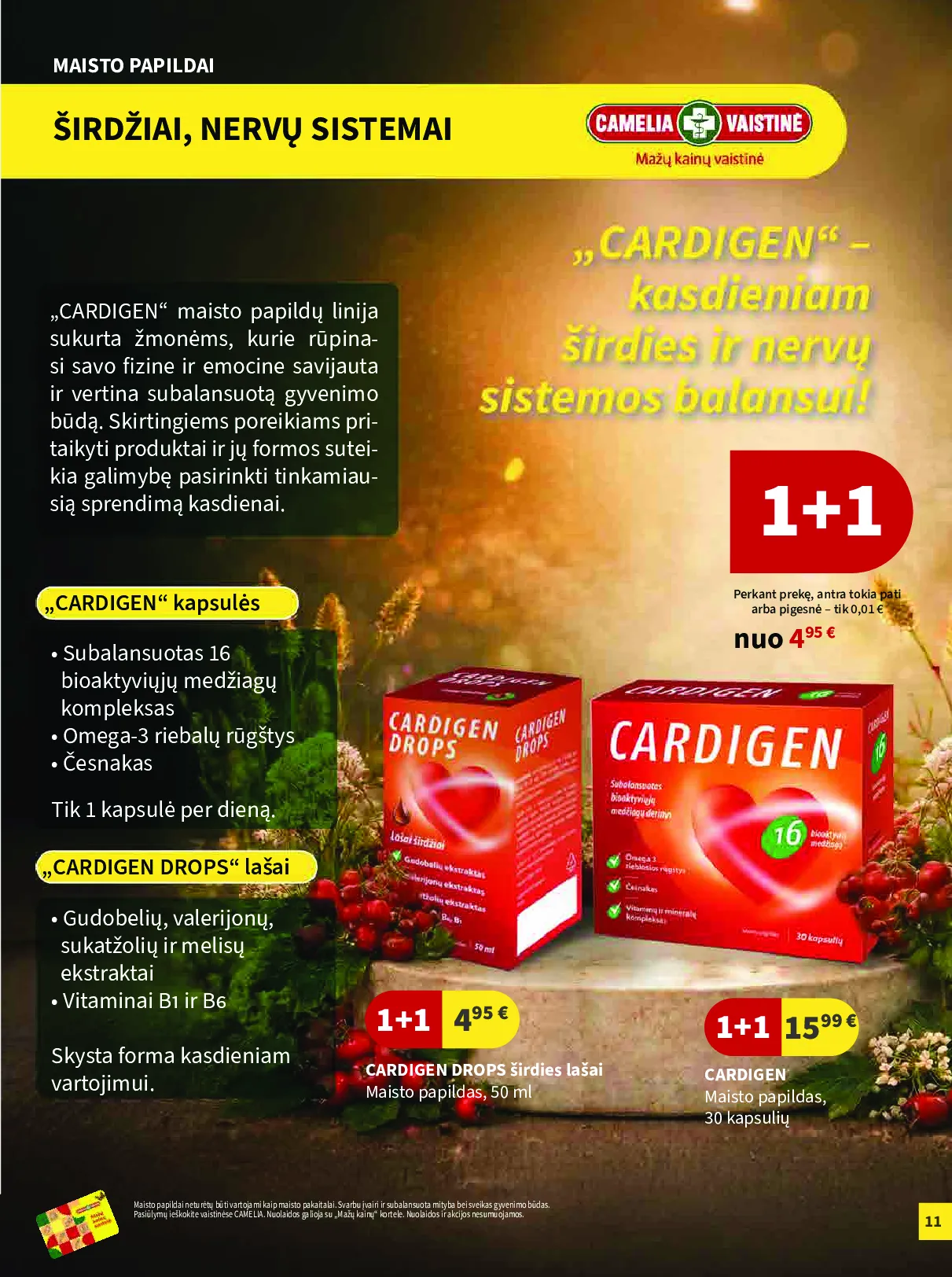 Camelia leidinys – 11 psl.