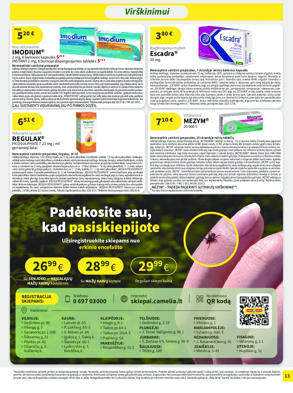 Camelia leidinys – 13 psl.