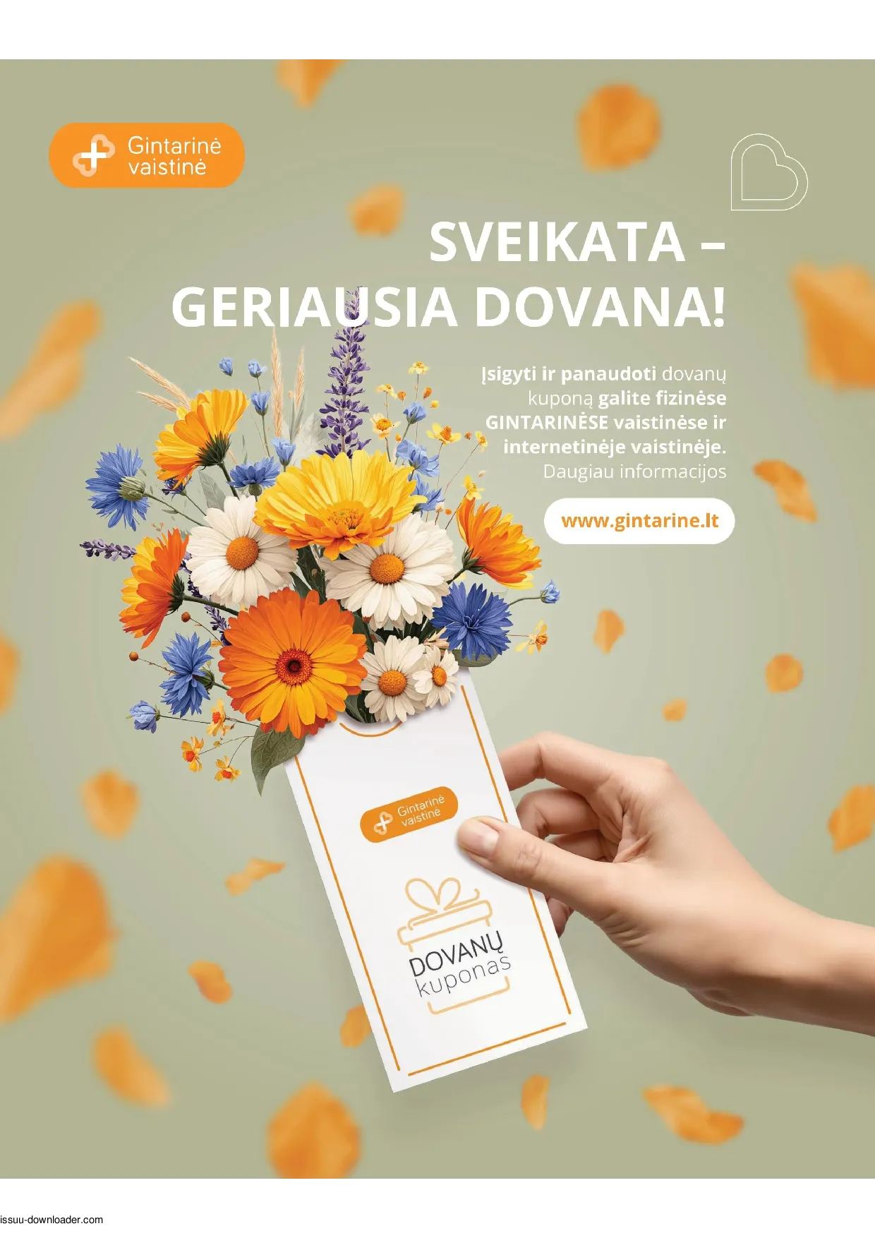 Gintarinė vaistinė akcijos šią savaitę. Galioja nuo 2026-08-01 iki 2026-08-31 – 23 psl.