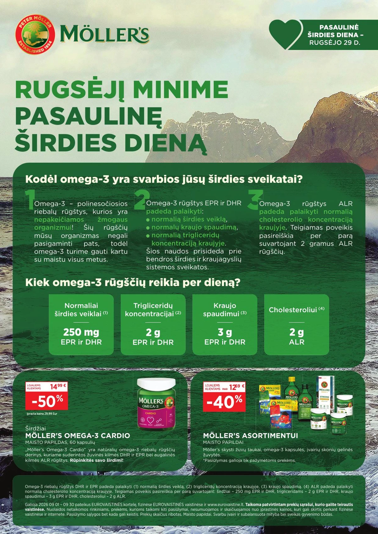 Eurovaistinė leidinys – 24 psl.