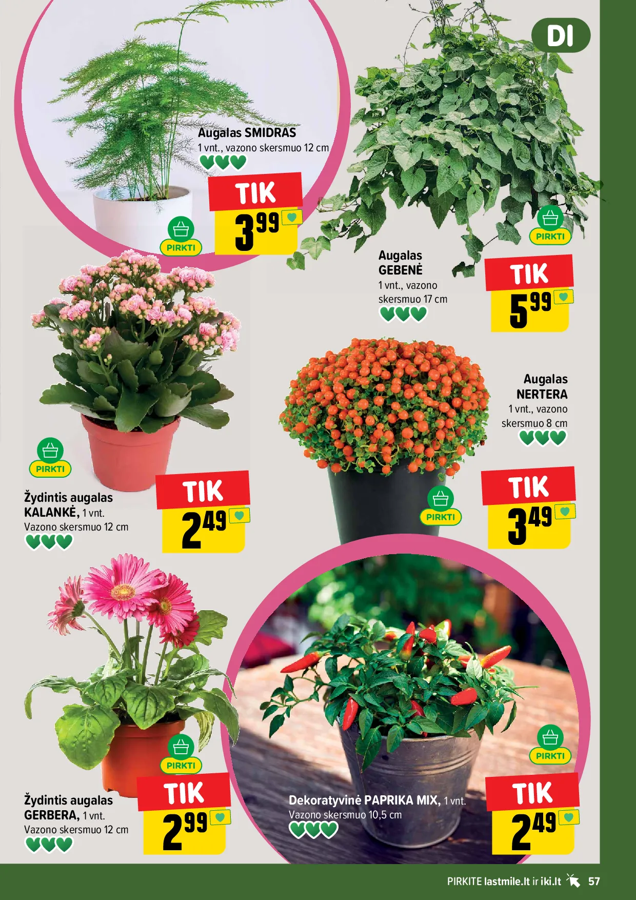 IKI akcijų leidinys – 57 psl.