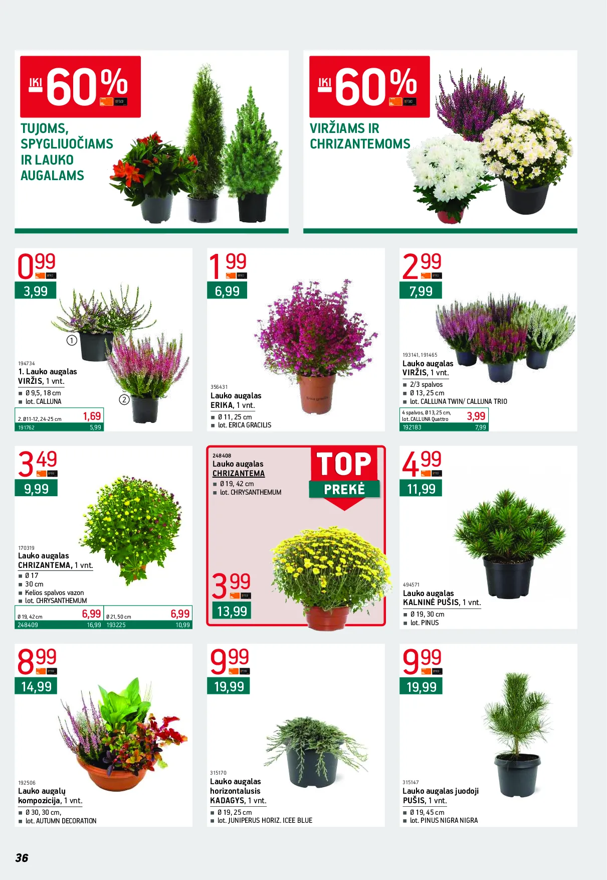 Ermitažas leidinys – 36 psl.